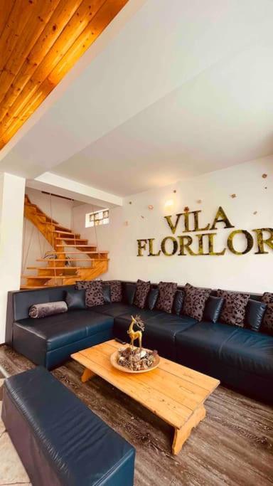 Vila Florilor Buşteni エクステリア 写真